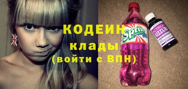 шишки Белоозёрский
