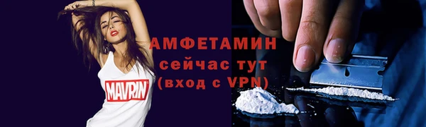 шишки Белоозёрский