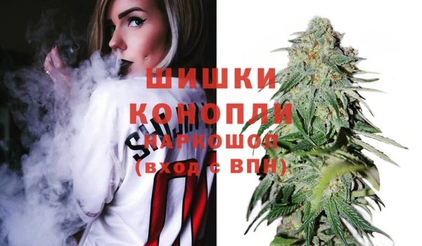 шишки Белоозёрский
