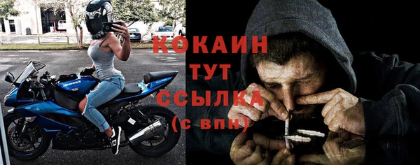 шишки Белоозёрский