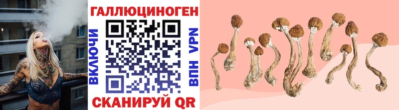 Галлюциногенные грибы GOLDEN TEACHER  hydra онион  мориарти официальный сайт  наркотики  Малаховка 